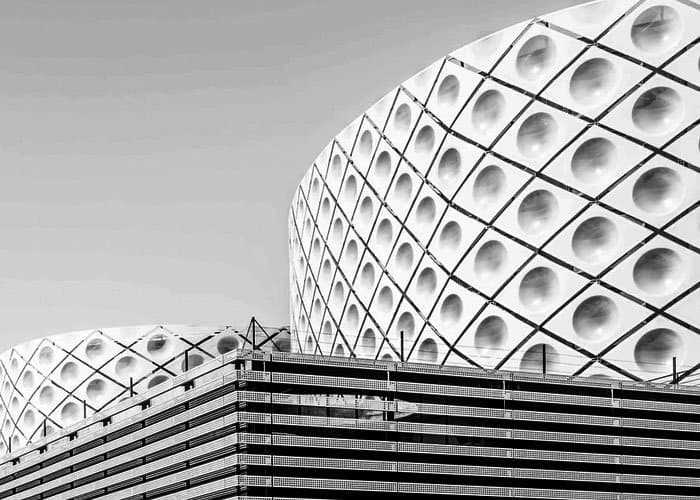 培育 AI 能力與人才